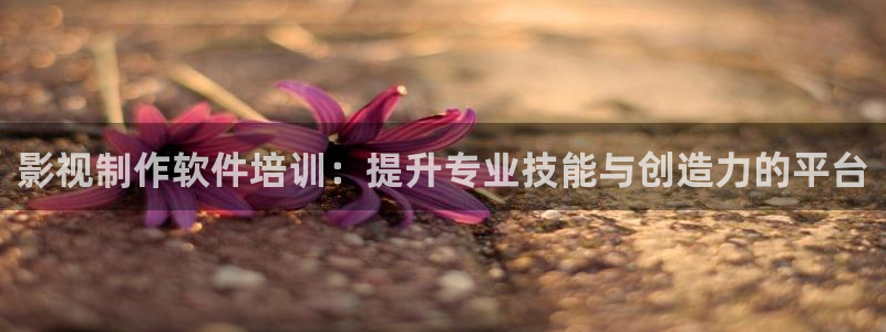 午夜最新最热免费视频不卡中文