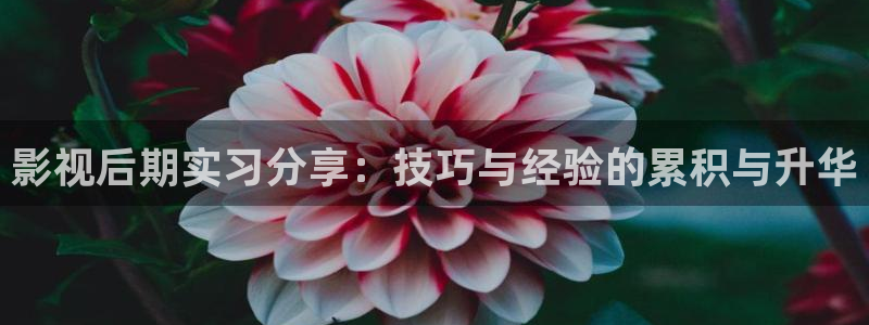 午夜的影视：影视后期实习分享：技巧与经验的累积与升华