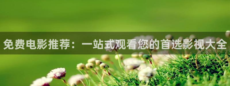 午夜电影网站亚洲一区：免费电影推荐：一站式观看您的首选影视大全