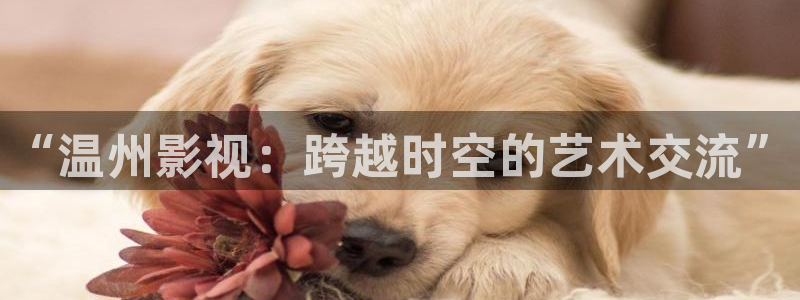 手机观看午夜电影：“温州影视：跨越时空的艺术交流”